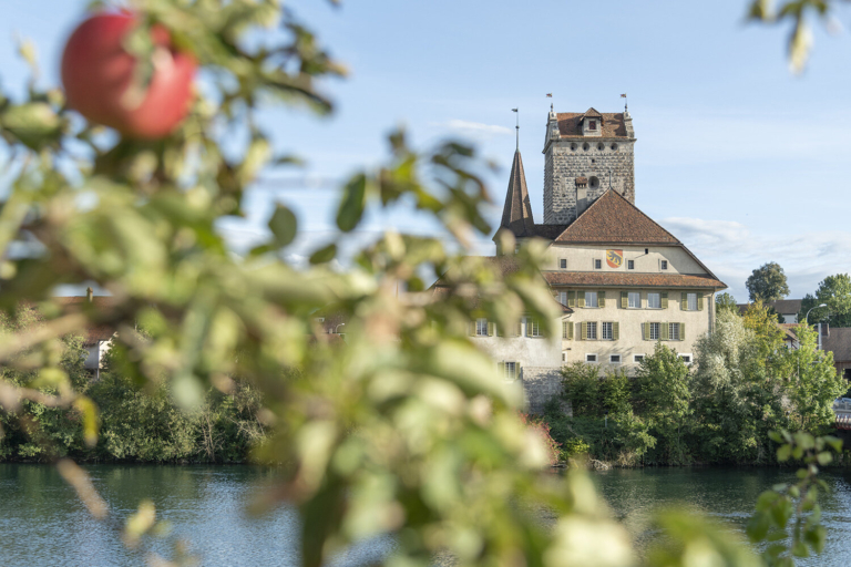 Geschichte Schloss Aarwangen